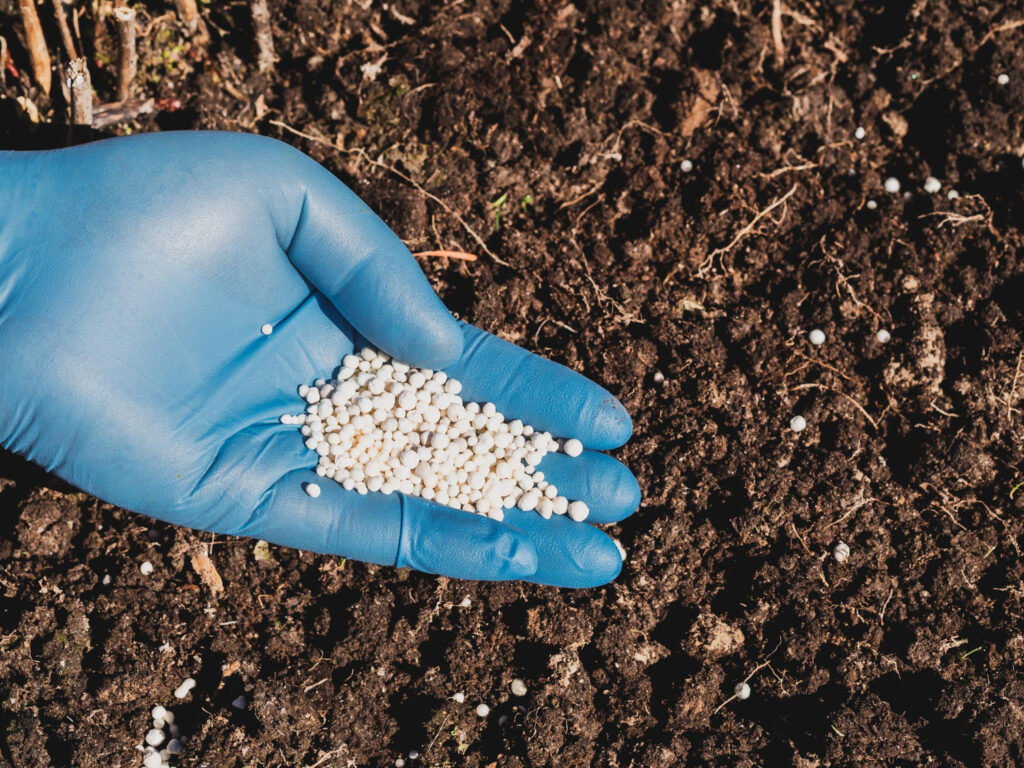 Canadiana Exports - Canadian Lentil. Potash Export 12